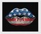 4th of July Patriotic Lips Printed Wall Diamond Art Painting Kits